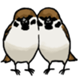 :tori004: