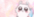 :chiikawa_70: :chiikawa_70: