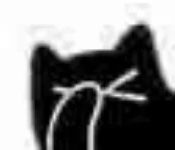:blackcat_facepalm: :blackcat_facepalm: