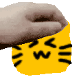 :petthex_blobcat_fun_c30: