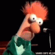 :meep: